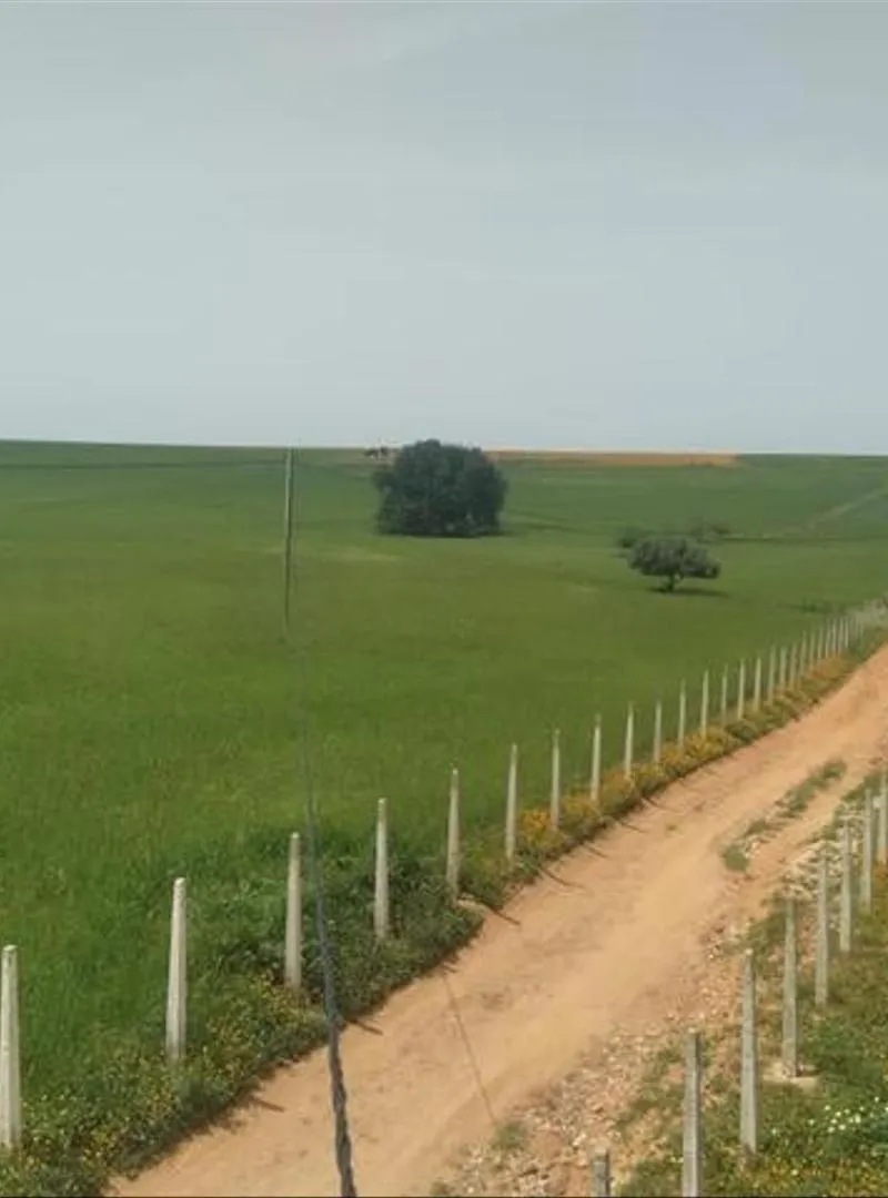 Vente de terrains avec vue mer – Sidi Rahal