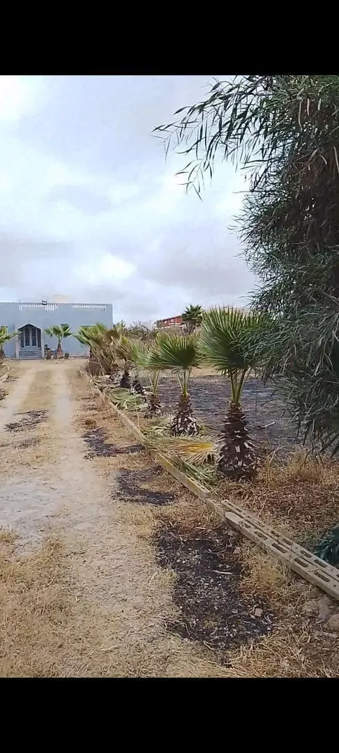 VILLA TERRAIN