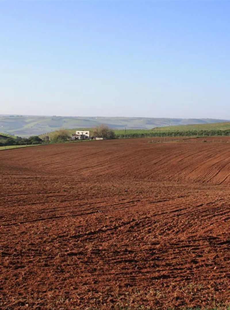 Terrain agricole