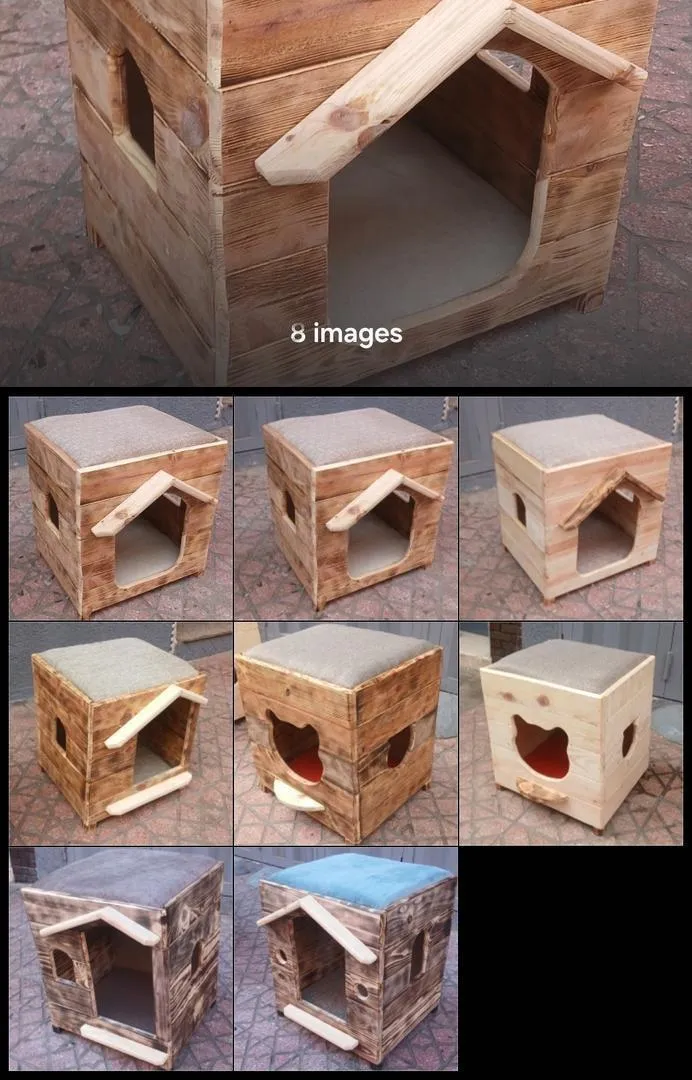 Maison pour chat