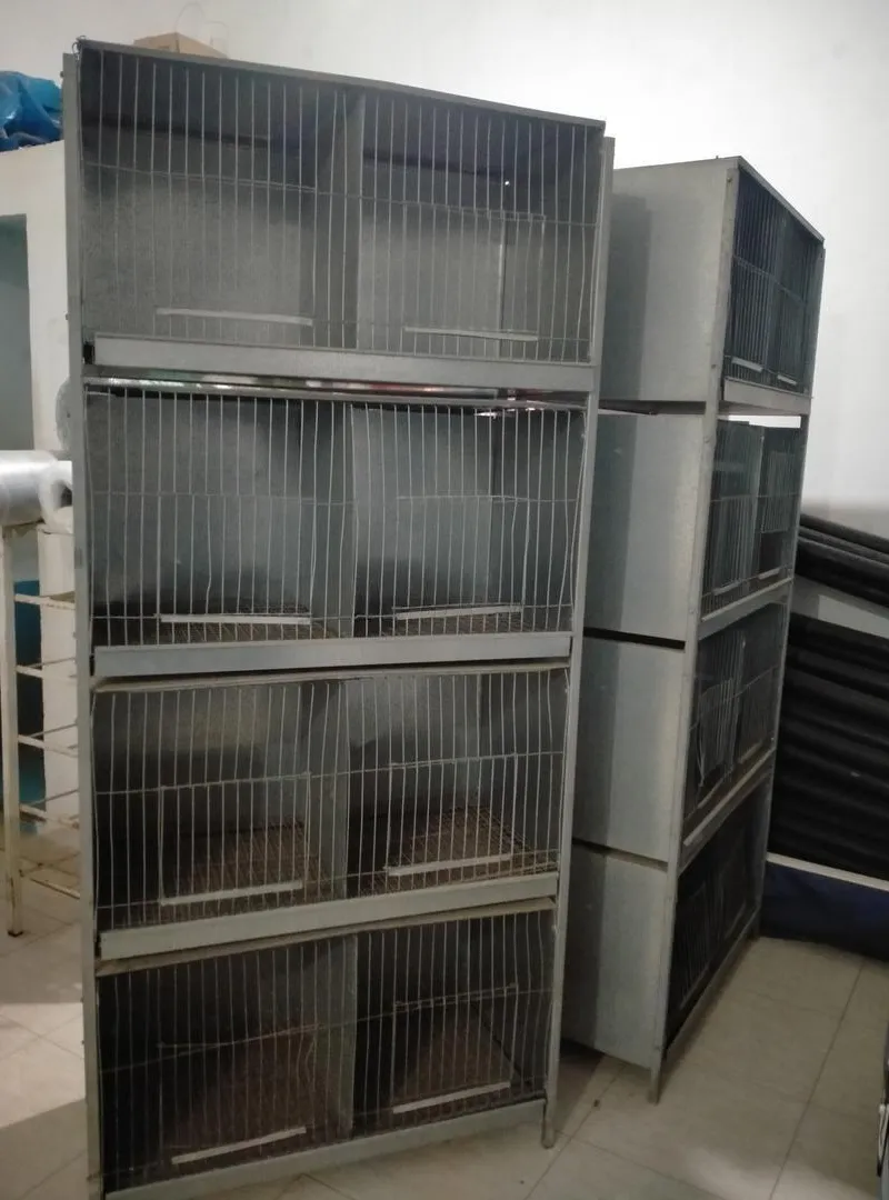 Cage pour animaux