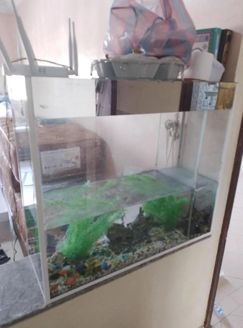 Grand aquarium
