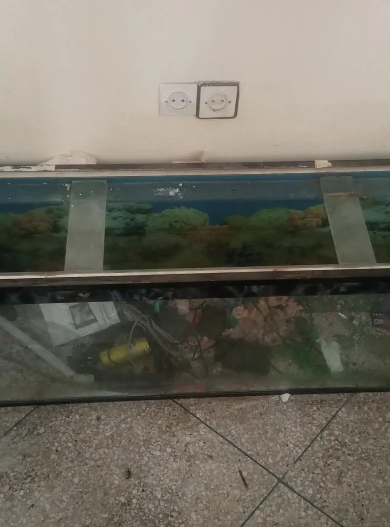 Aquarium 2m en excellent état
