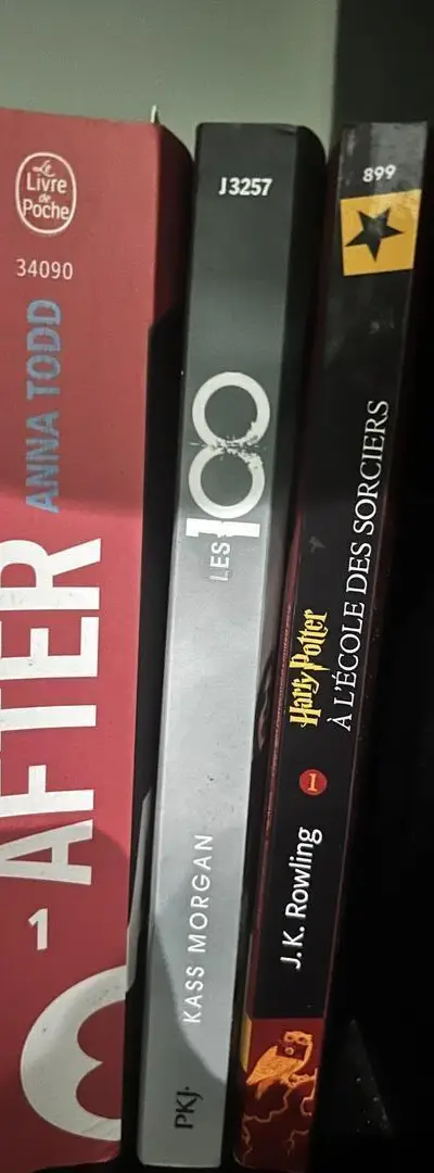 Livre en très bon état en français