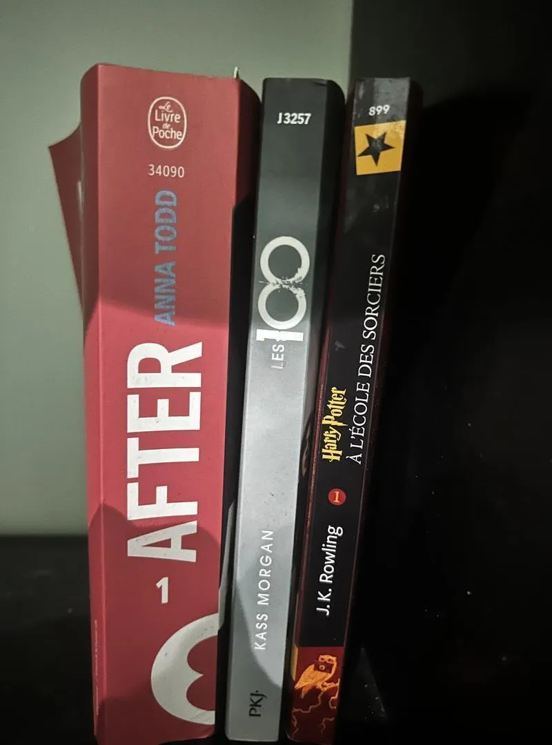 Livre en très bon état en français
