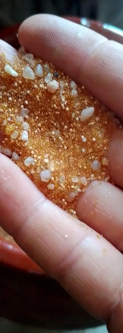 Le gingembre doré