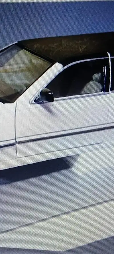 Limousine 1/18