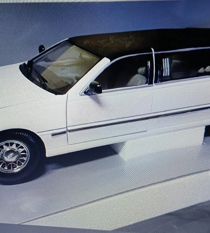 Limousine 1/18