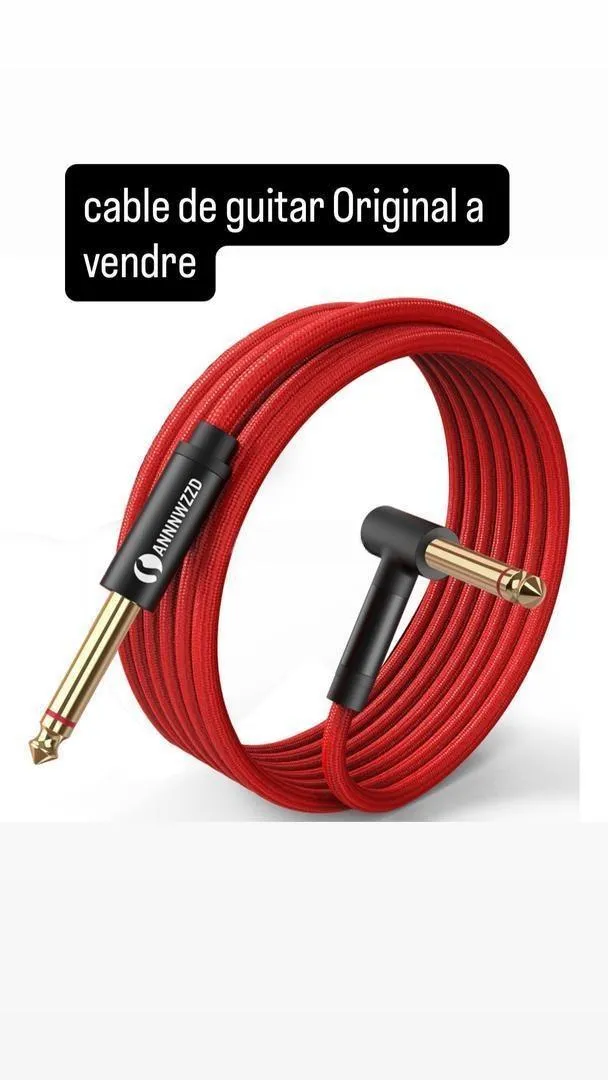 Câble de guitare
