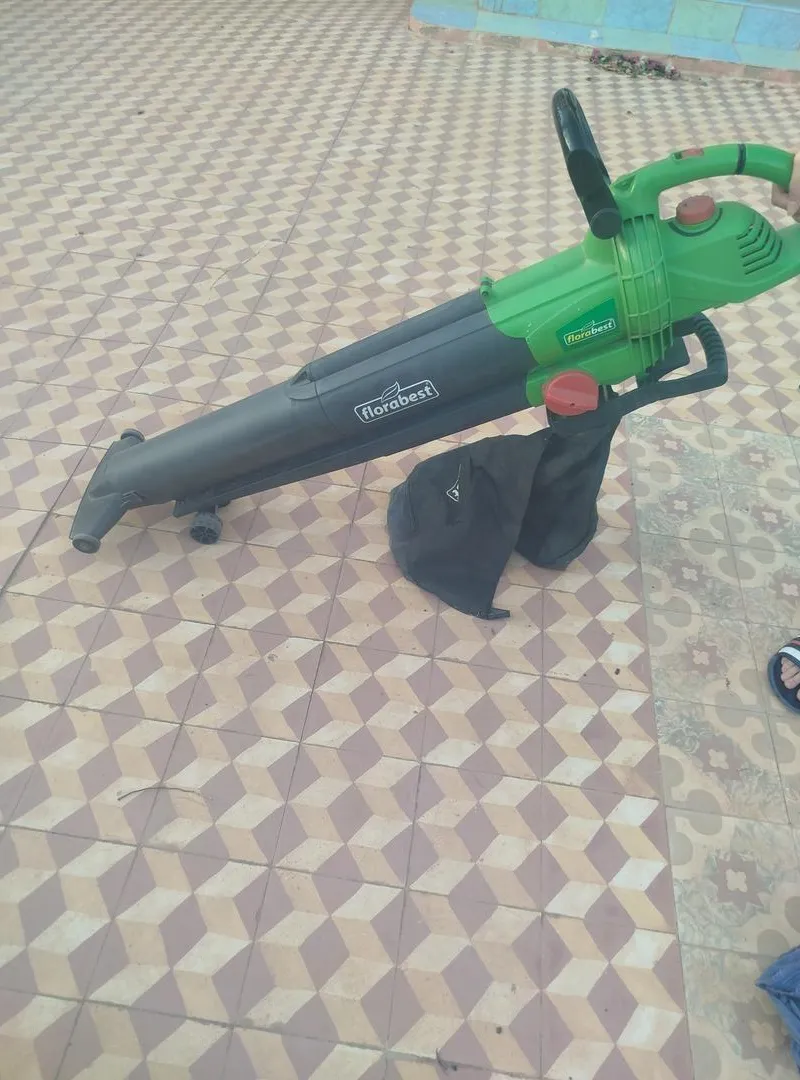 Aspirateur souffleur Florabest