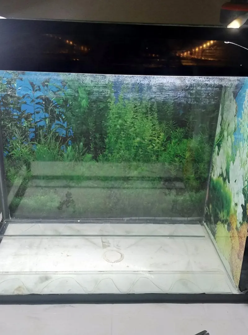 Aquarium ✨ Aquarium 1m de long 89cm