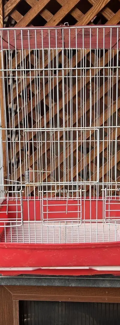 cage moyenne