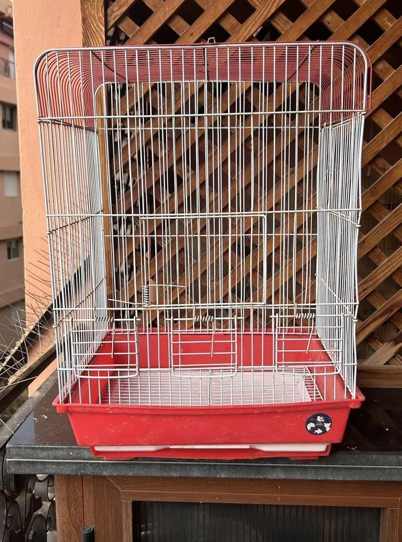 cage moyenne
