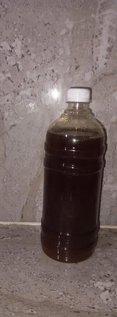 Miel de Sidr pur