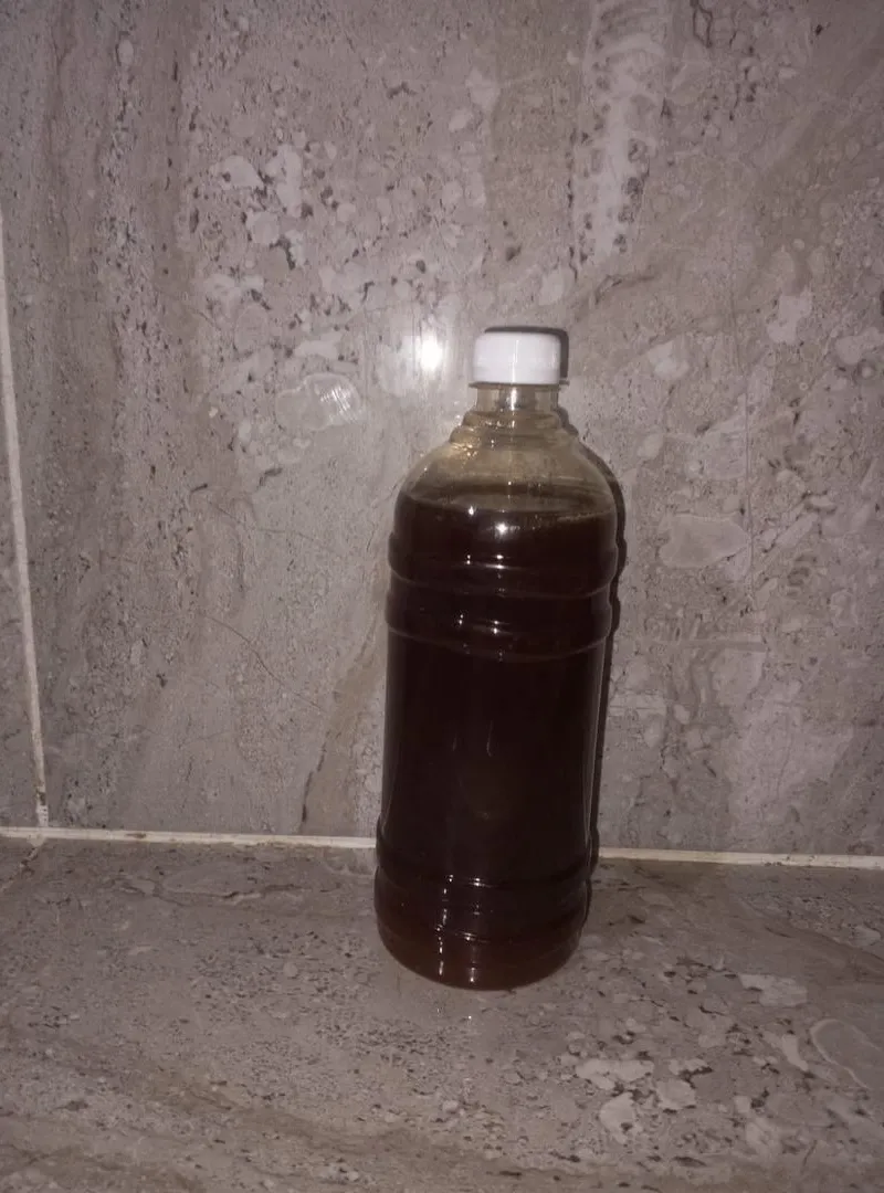 Miel de Sidr pur