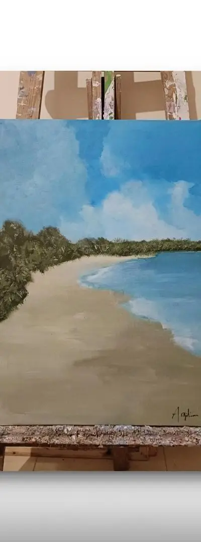 4 tableaux sur toile