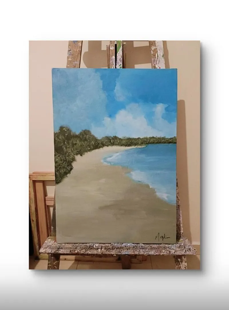 4 tableaux sur toile