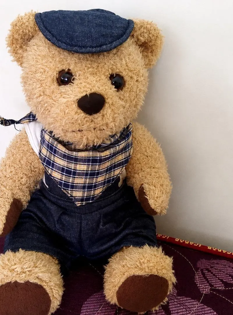 Nounours mignon pour cadeau