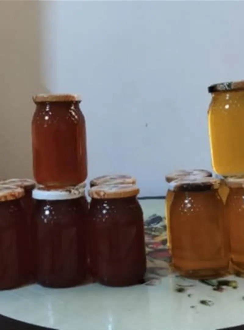 Miel pur sans nourriture artificielle