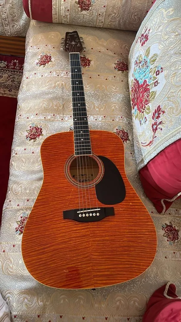 Guitare acoustique Montana