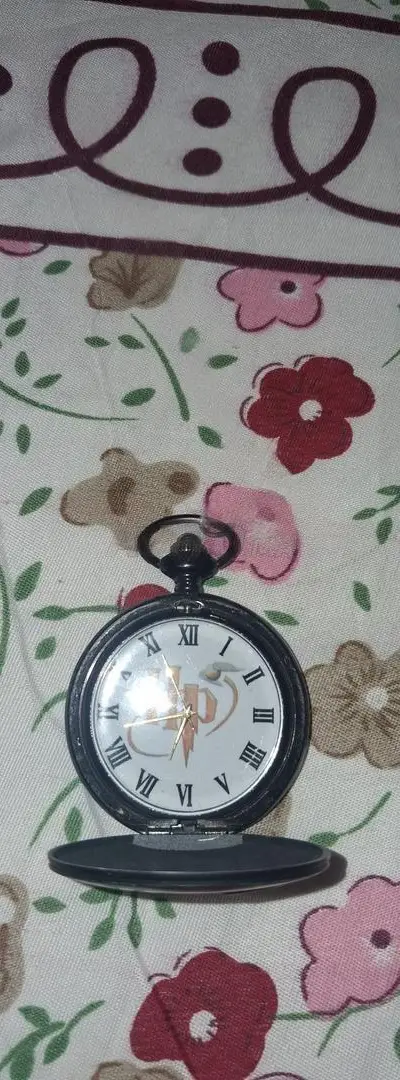 Montre HARRY POTTER