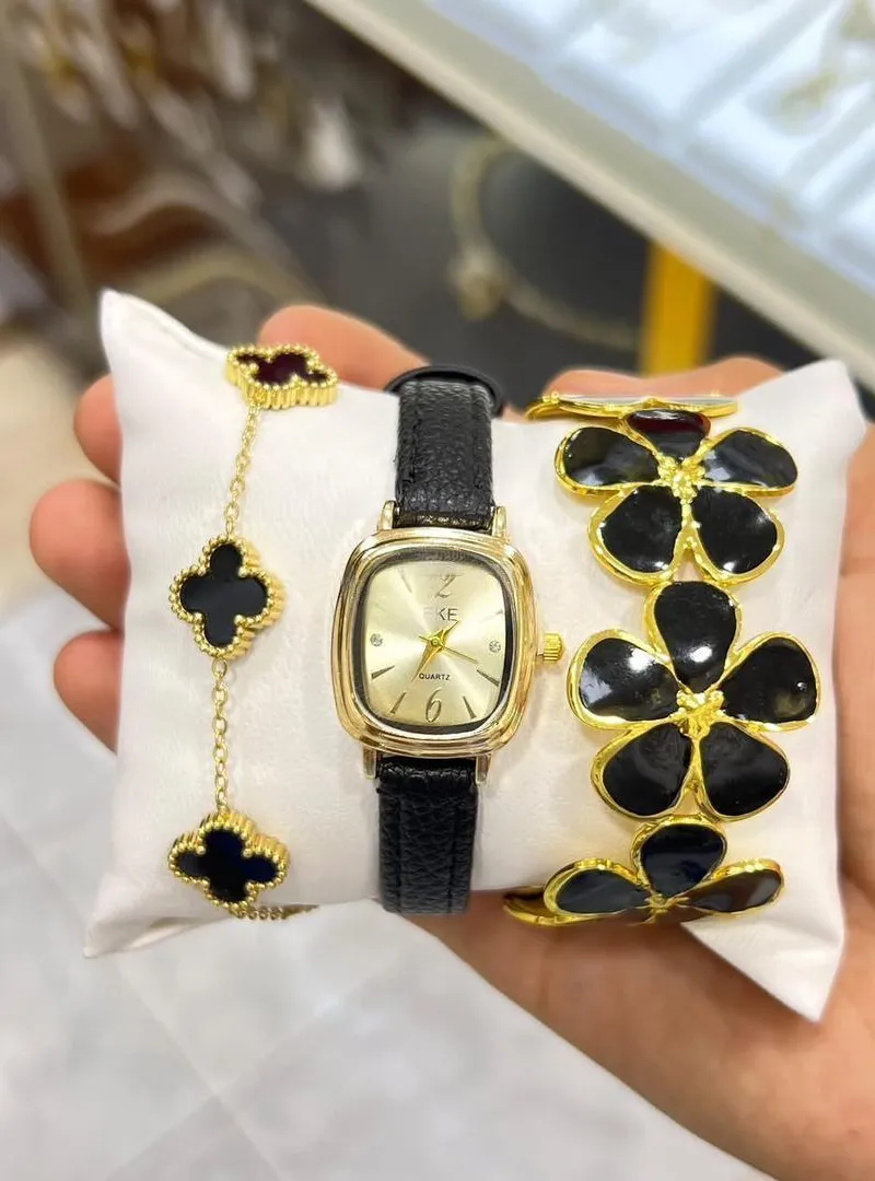 Montre élégante avec accessoires
