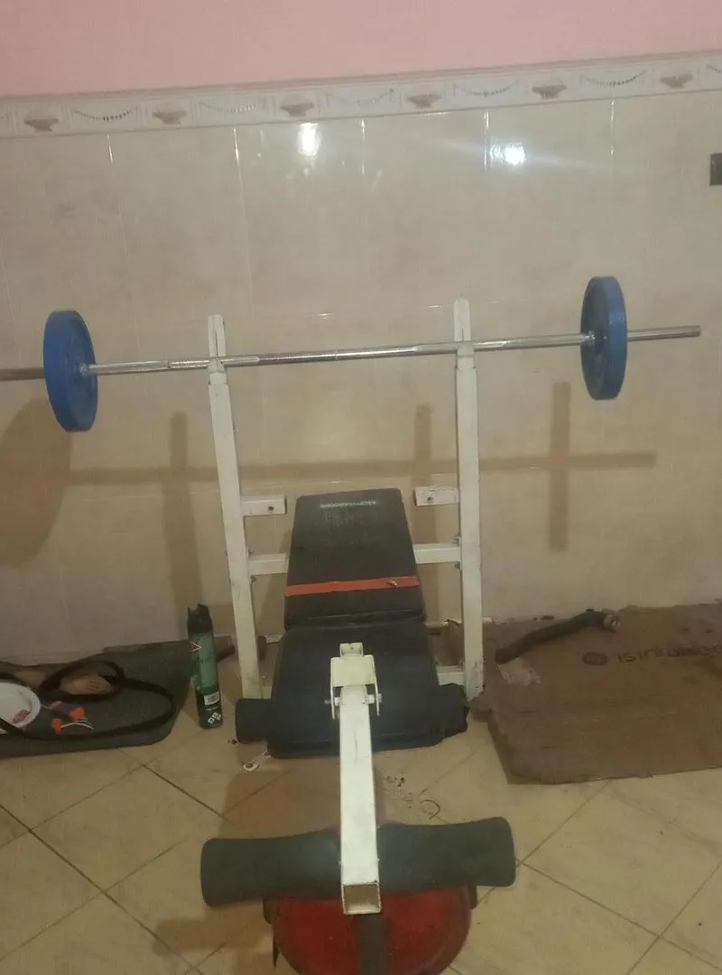 Hay Ared 297