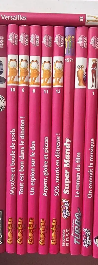 Lot 44 livres Bibliothèque Rose & Verte