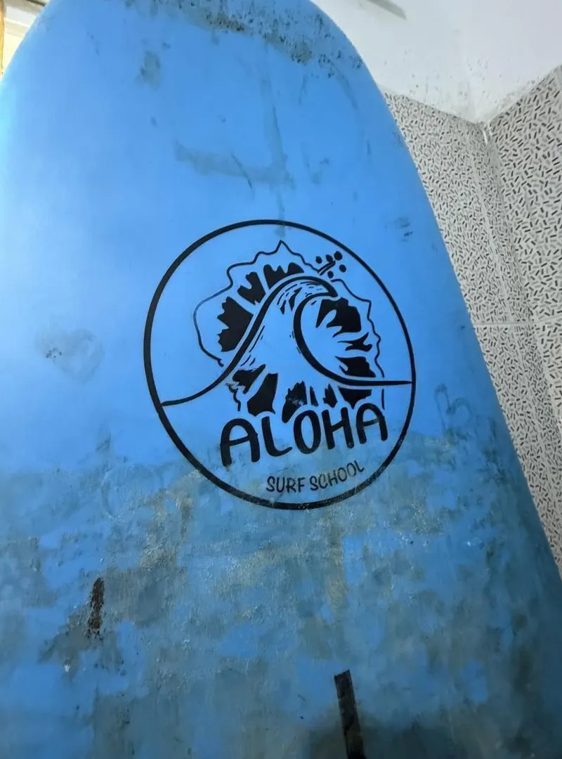 Planche de surf 7.0