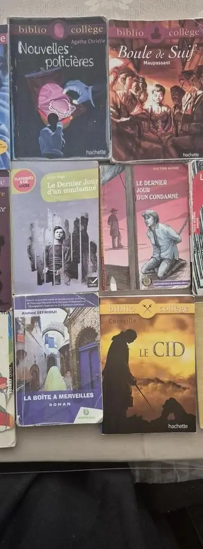 Histoire biblio collège
