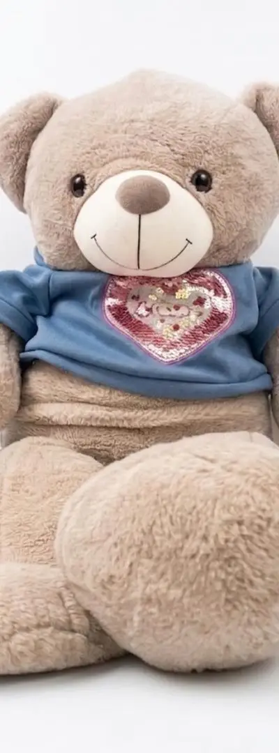 Ours en peluche