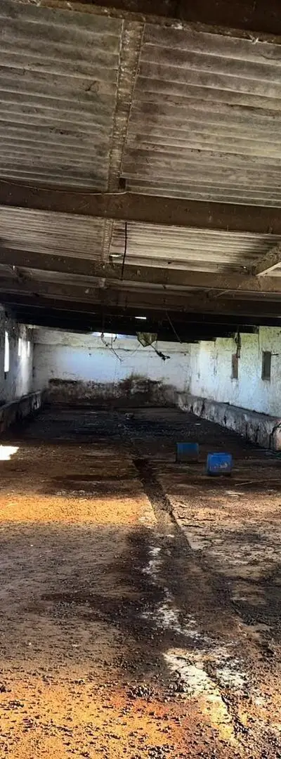 Magasin à louer