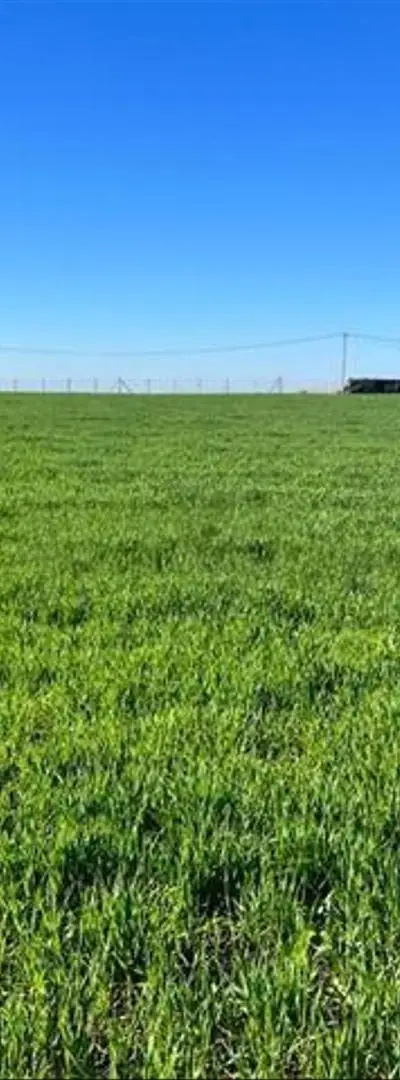 Terrains et fermes titrés dans les environs de Bir Jdid
