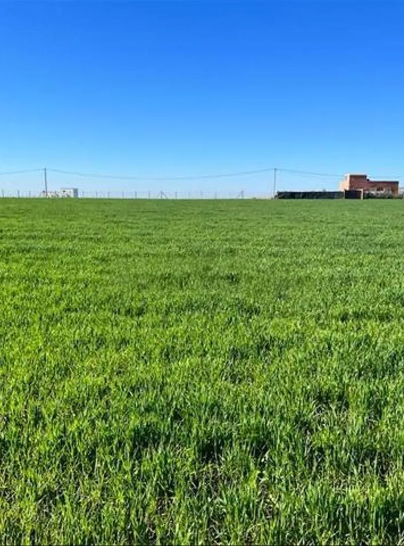 Terrains et fermes titrés dans les environs de Bir Jdid