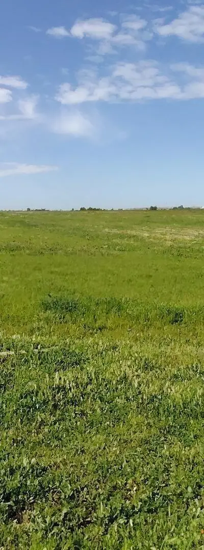 Terrains, Villas & Fermes Titrés – Bir Jdid