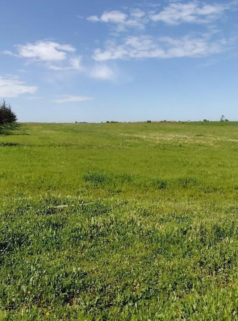 Terrains, Villas & Fermes Titrés – Bir Jdid