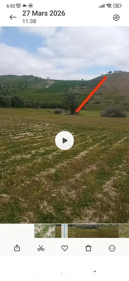 Terrain agricole à vendre