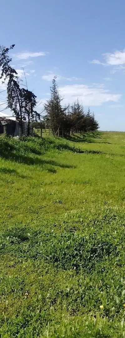 Vente de Terrains & Fermes Titrés — Sidi Rahal