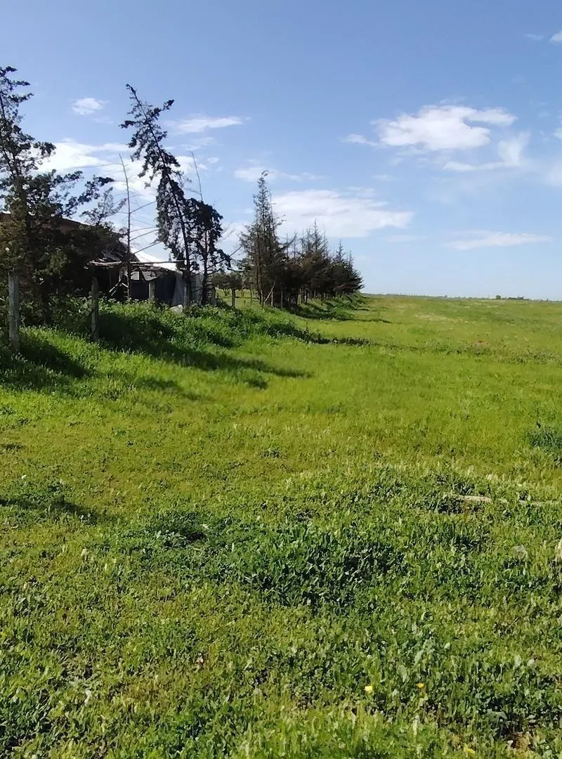 Vente de Terrains & Fermes Titrés — Sidi Rahal