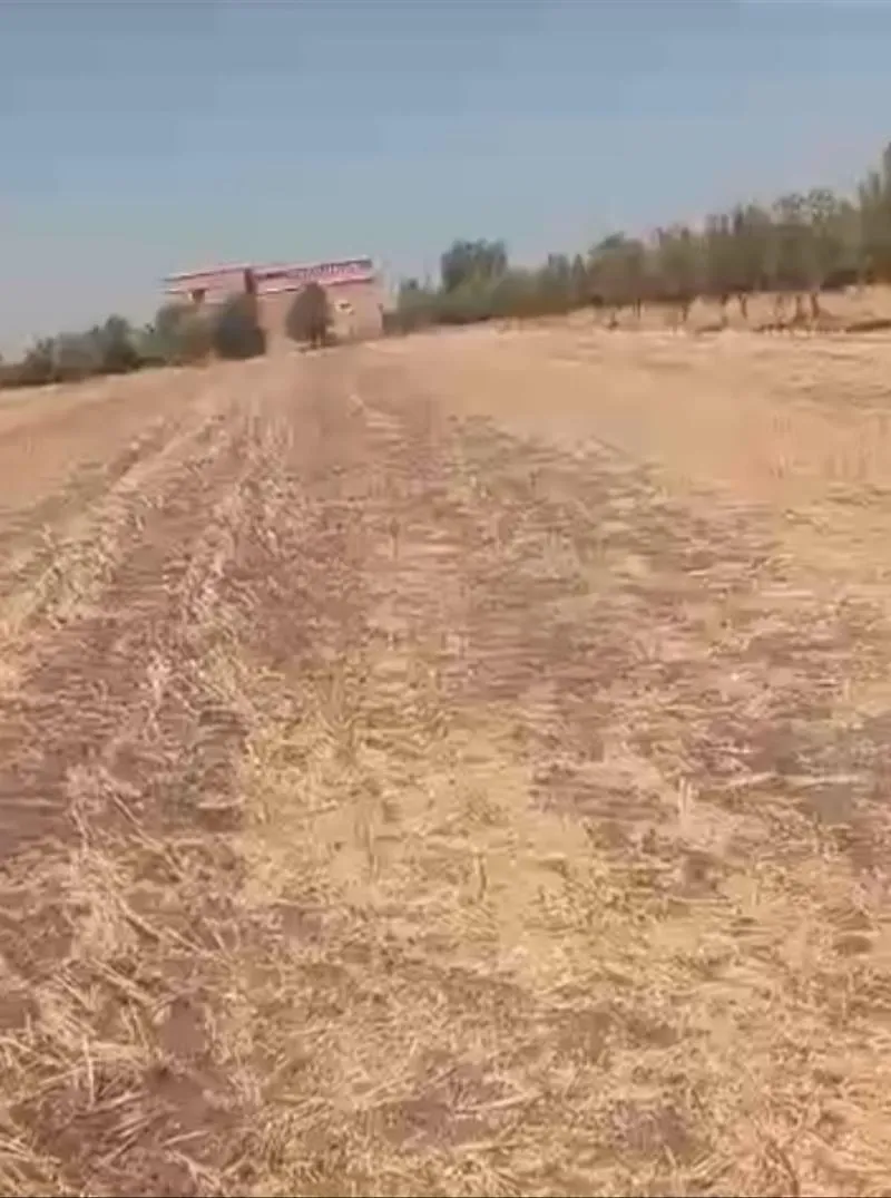 Ferme Tethyr à Sidi El Ayadi