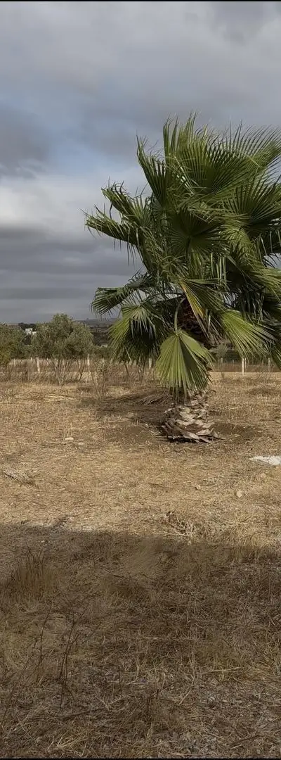 Terrain agricole