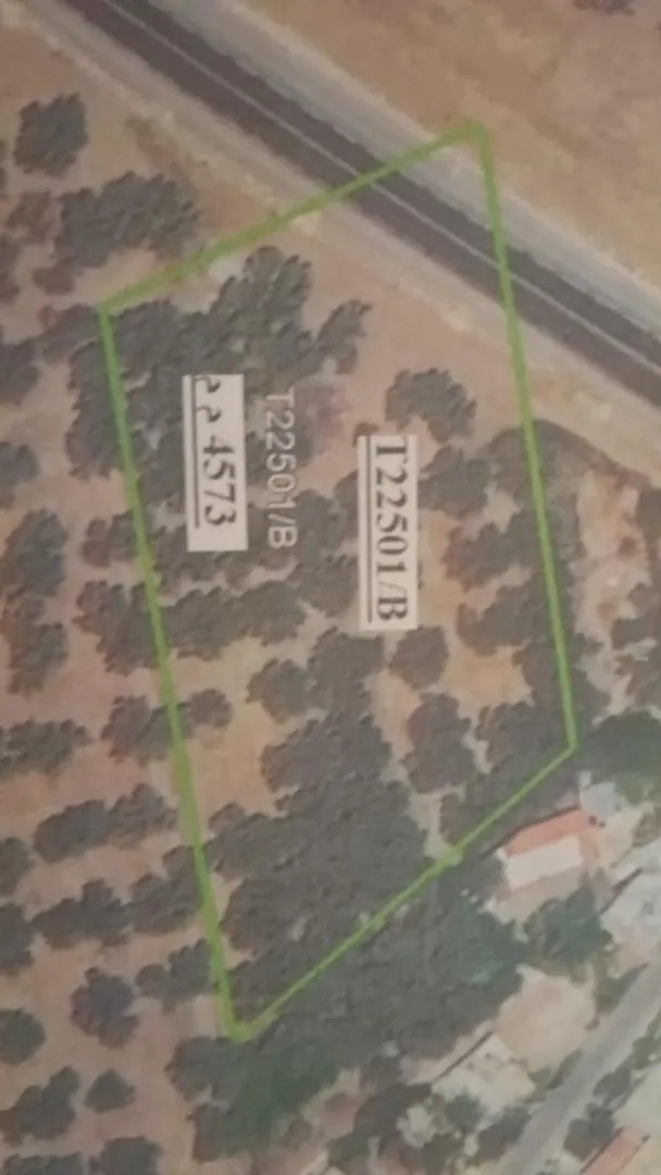 Terrain à vendre sur la route principale 3990 m2