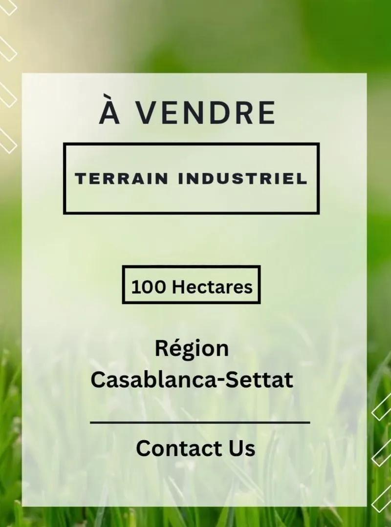 Terrain industriel à vendre sur settat