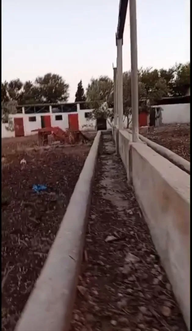 Superbe ferme 3.5 hectares Ether près de Settat