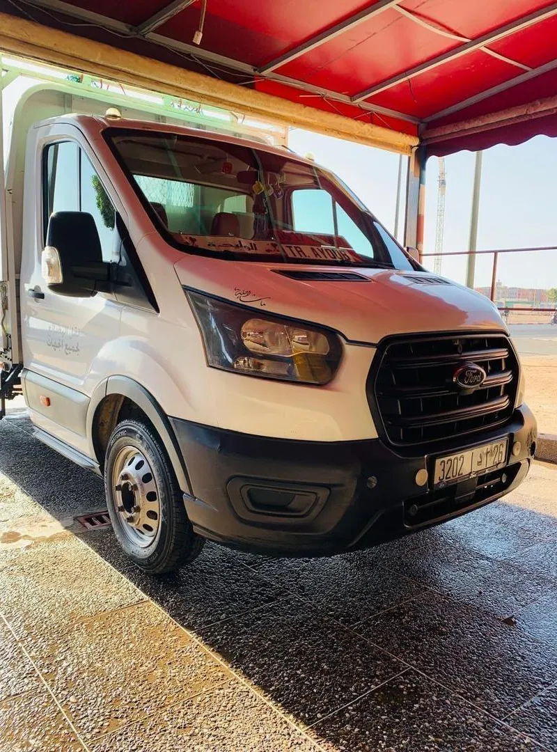 camion ford