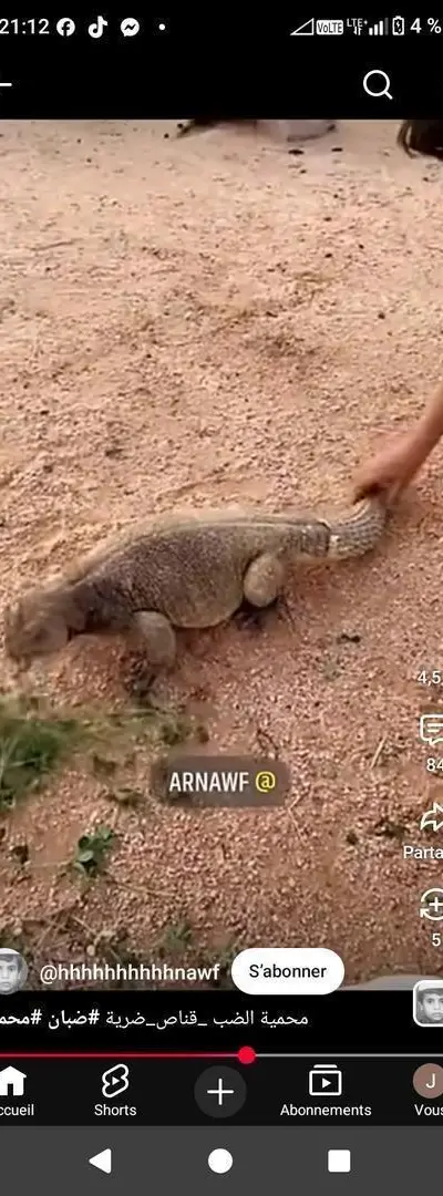 Hyène contenant 2 kilogrammes