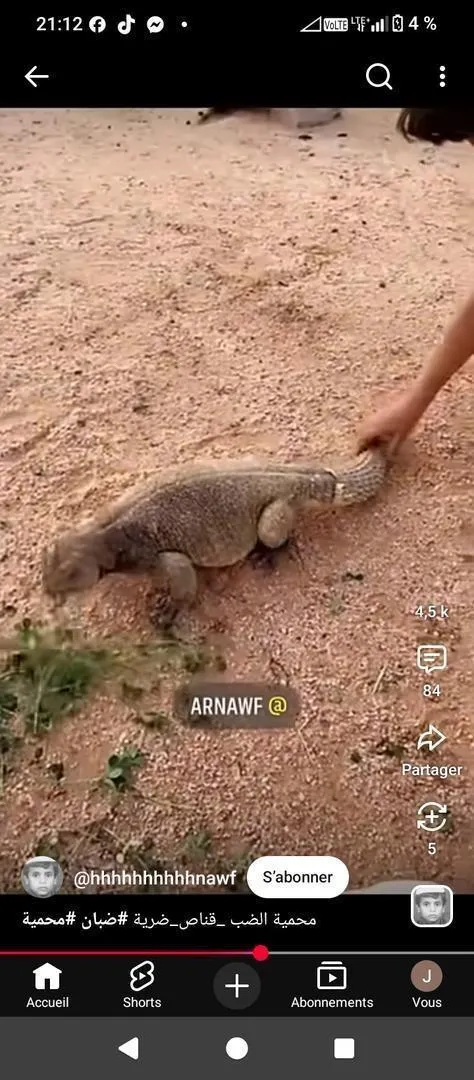 Hyène contenant 2 kilogrammes