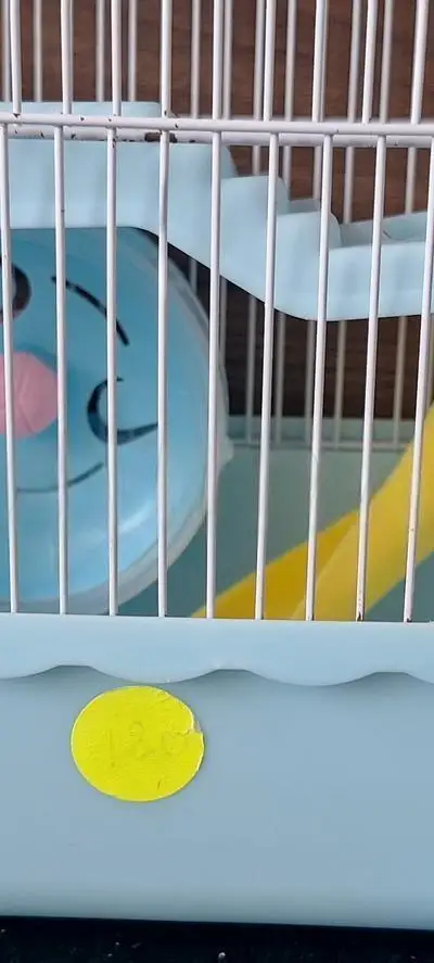 Cage Hamster