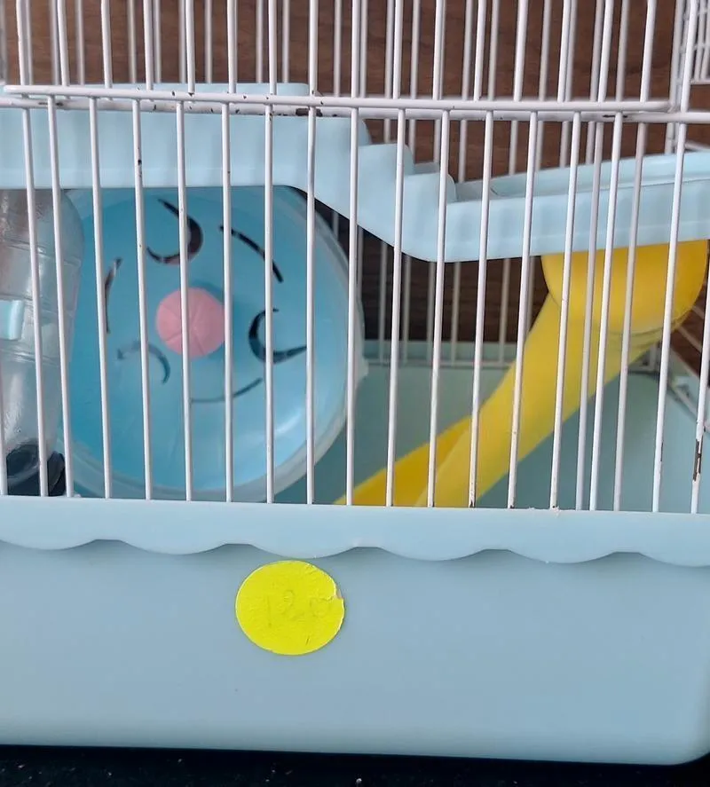 Cage Hamster