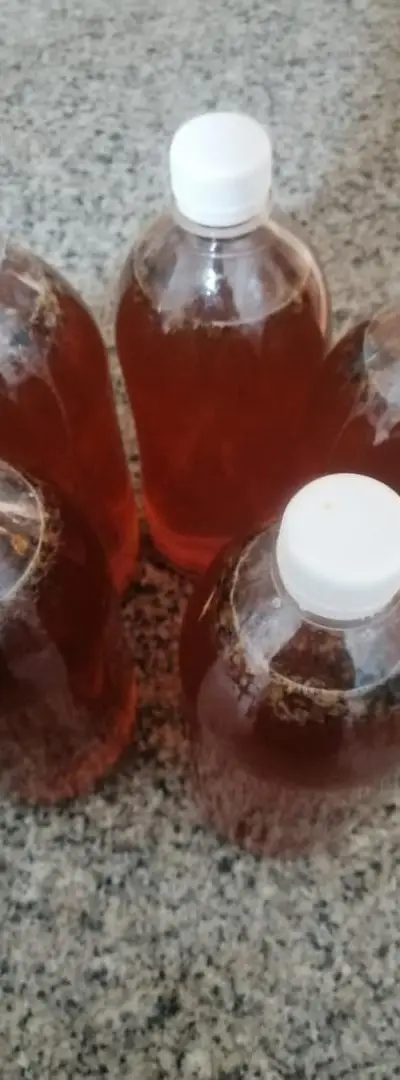 Miel de Sidr naturel